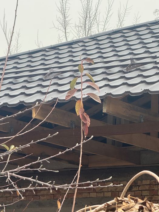 Продажа дома Талгар