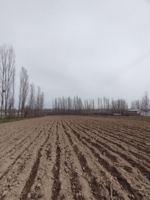 Qurilish uchun 20 sotix yer, barcha sharoit bor