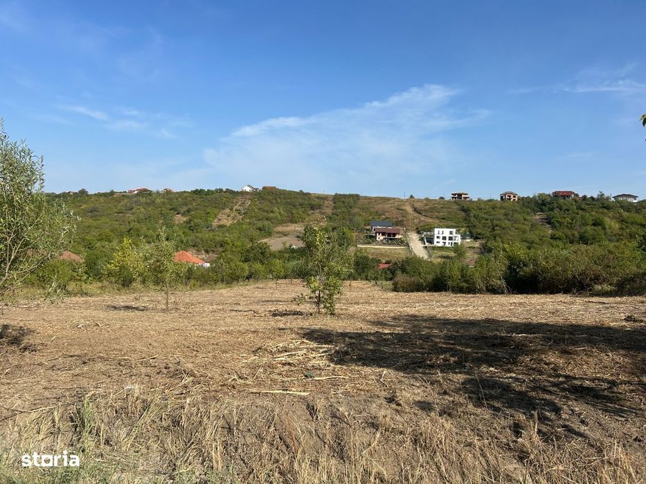 Teren 3280 mp ,str Livezilor ,zona strazii Adevarului