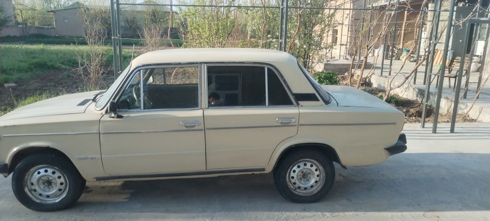 Jugili yili-1981 metan xolati yaxshi