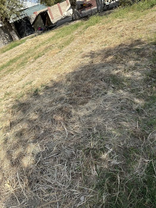 Агароттагы майда шоп