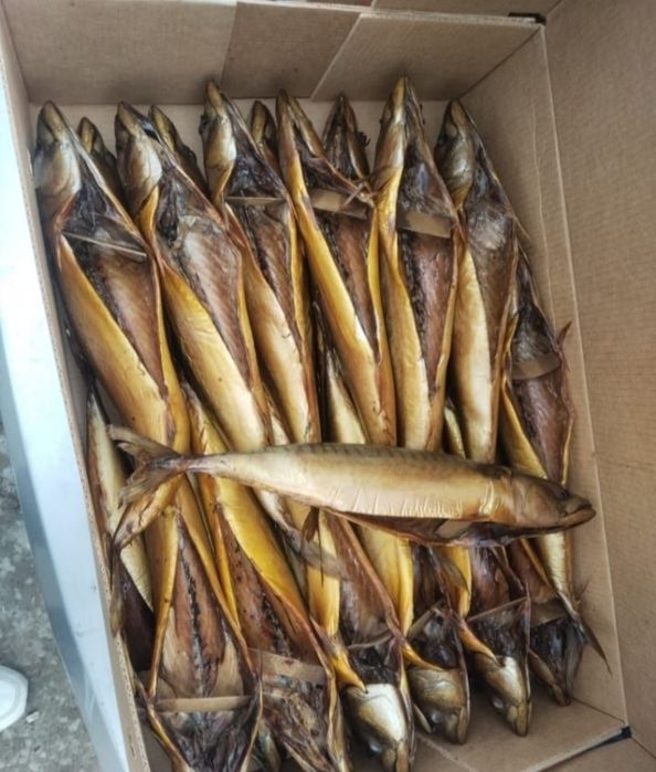 Продам технологию копчения