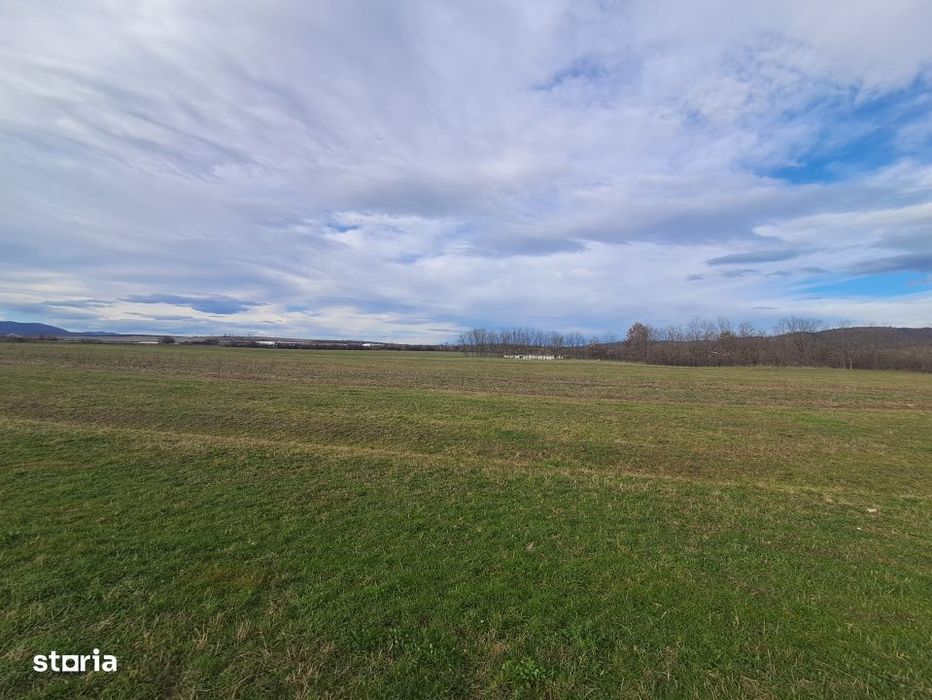 Teren extravilan de vanzare – 500 mp – Talmaciu, zona apropiata de