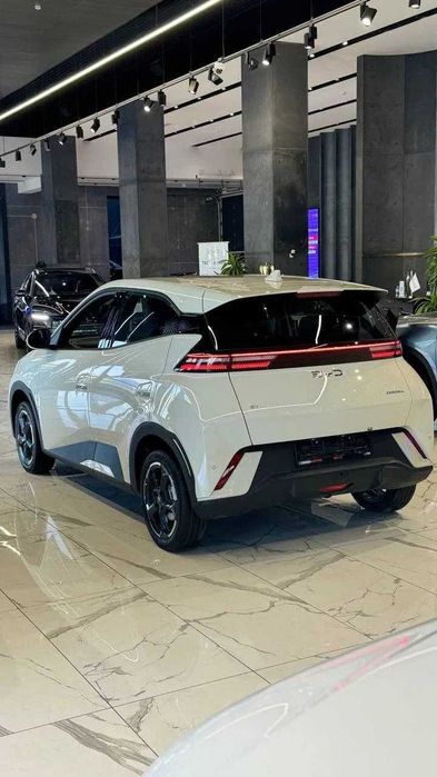 BYD Seagull pod zakaz