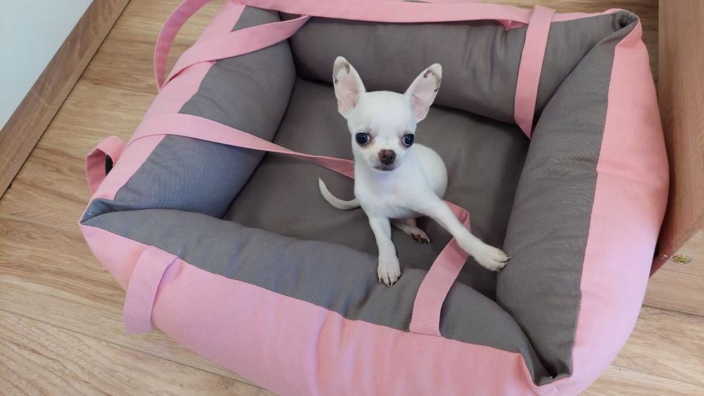 Легло (столче) за автомобил за куче