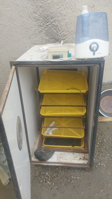 Inkubatr jucha ochgich