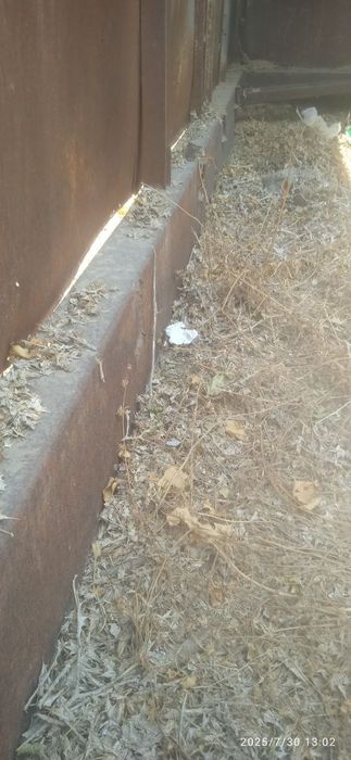 Vagon sotiladi  ramasi bilan