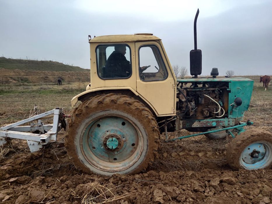 Юмз жагдайы жаксы