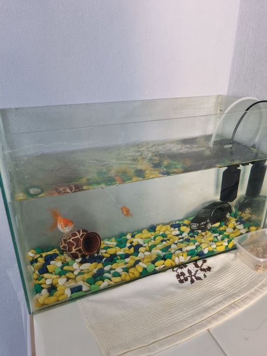 Продам аквариум с рыбками