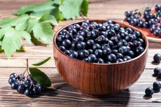 vand aronia bio si mure bio proaspat culese sau la comanda