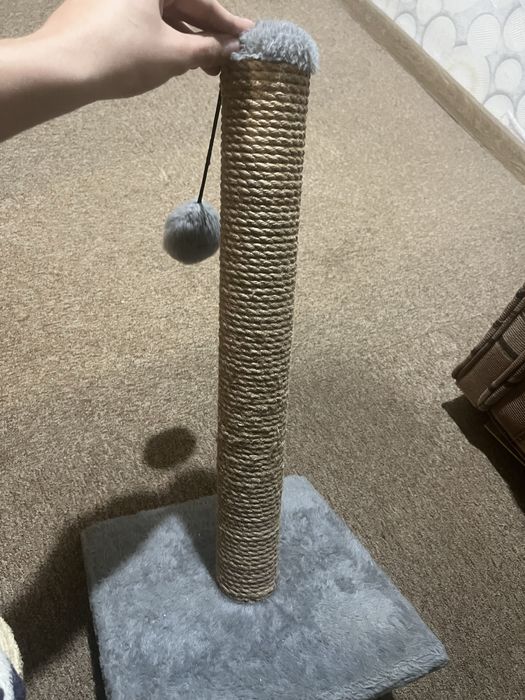 Продам когтиточку