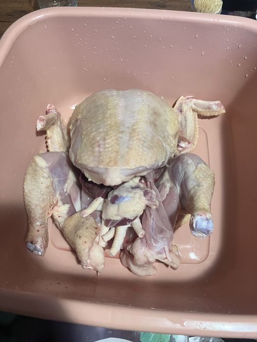 Vând pui de carne 25lei/kg (tăiat )