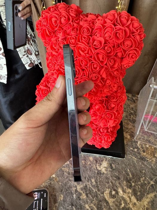 Айфон 13 про  EAC