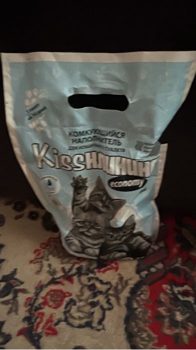 Пушистая кошка продаю