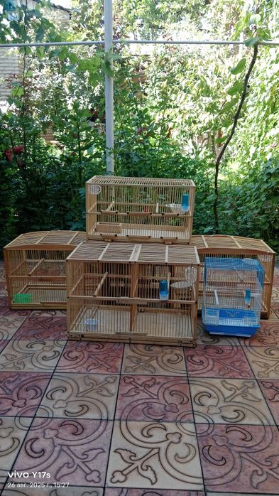 Клетка для птитца