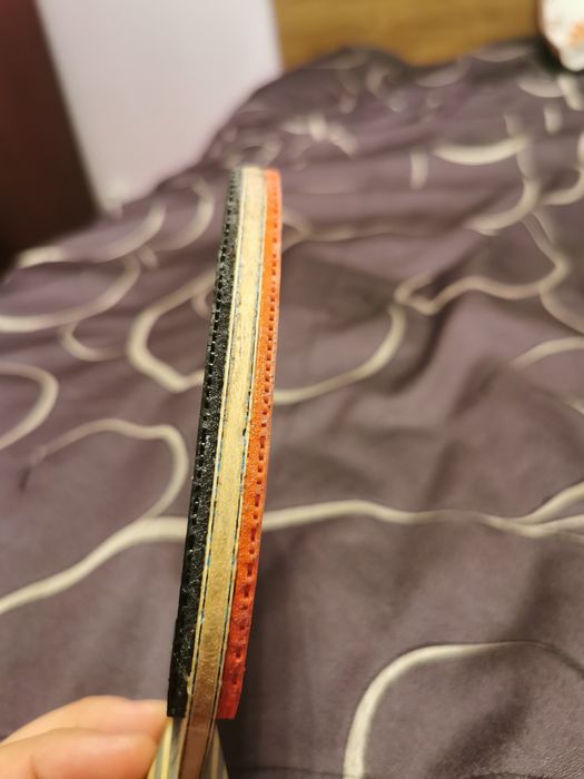 Paleta Butterfly Viscaria