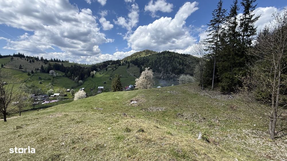 Teren 1.29 ha + 1 ha pădure, acces ușor