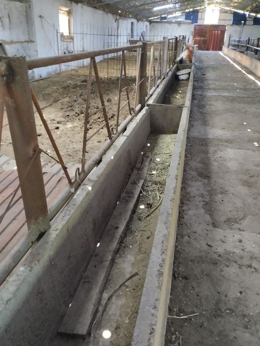 Жевотноводческая база