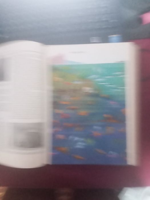 детская енциклопедия