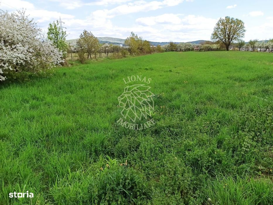Teren intravilan 2515 mp cu utilitati- Zona Valea Castailor