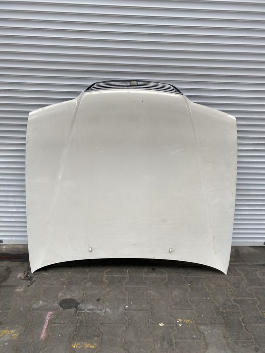 Ноускат разобрынный