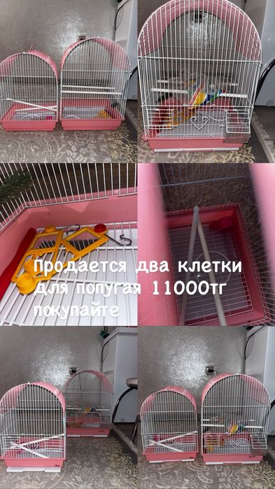 Клетка для папугаев