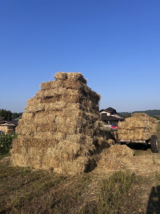Vând baloți de fân