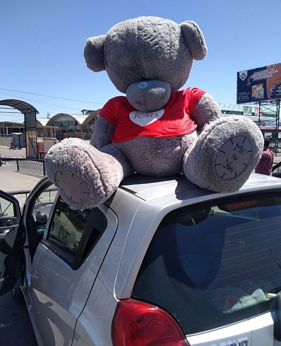 Teddy ayiq 1metrli