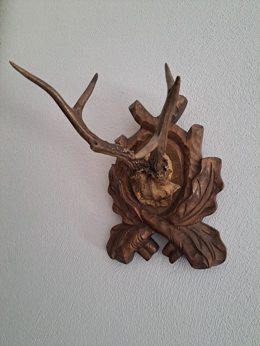 Coarne căprior pe suport sculptat