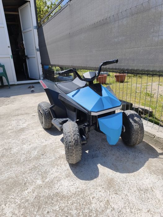 Se vând că au rămas mici