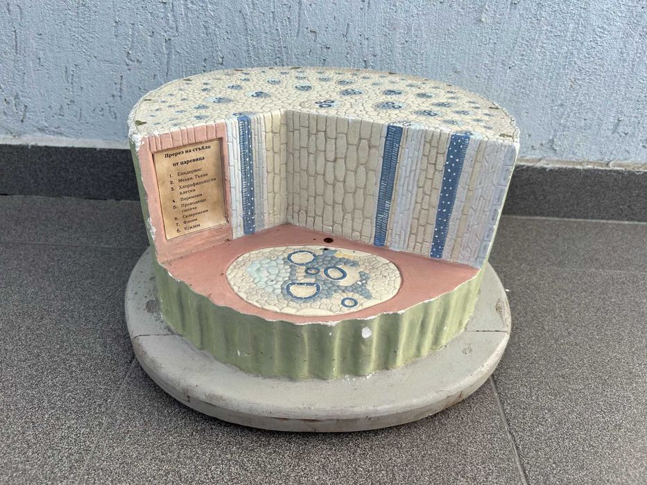 Соц Учебни Модели Макети