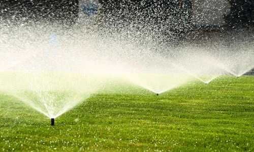 Amenajări Grădini și Spații Verzi | Gazon, Irigații, Toaletări, Plante