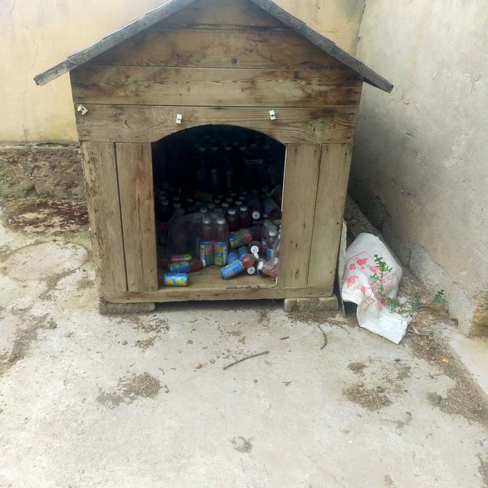It ini bor mustahkam ishlangan