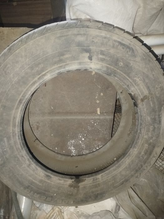 Продам шины летние р15