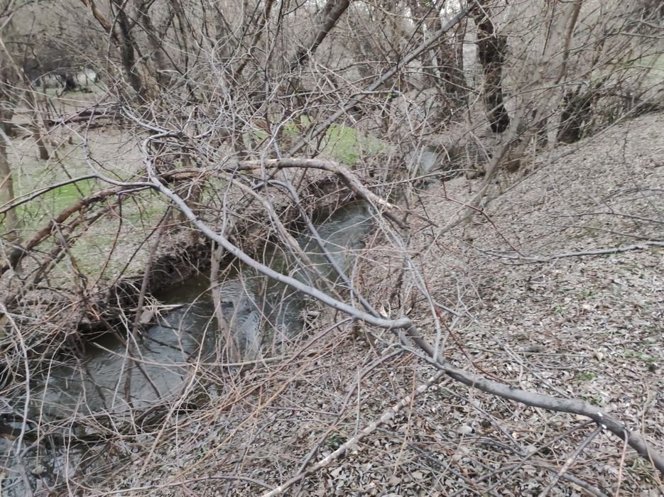 Срочно Продам участок с домом