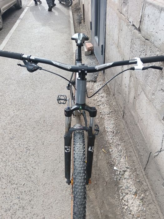 Названия Триникс с дакументом