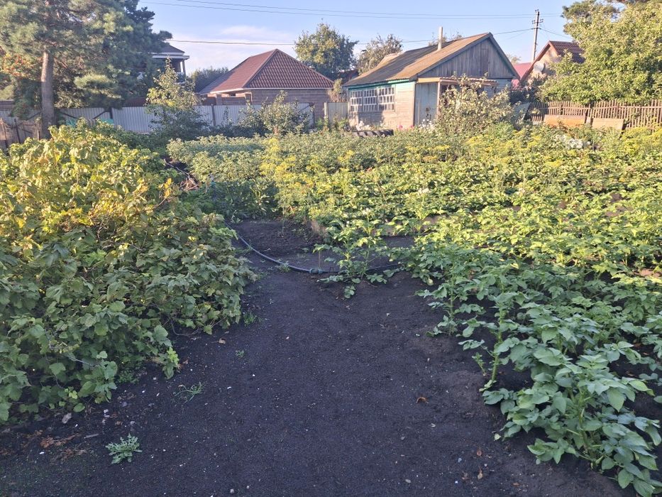 Продам дачу в с/о Буревестник