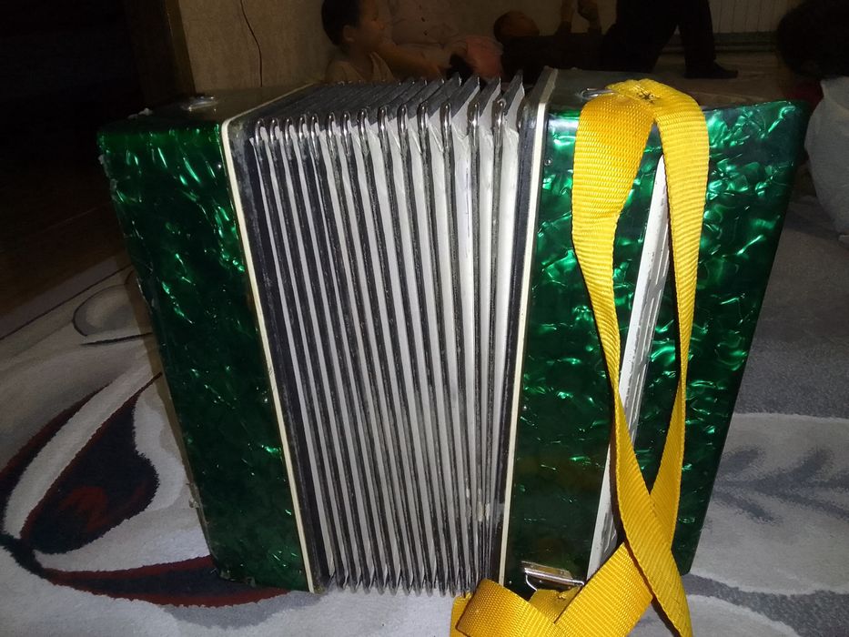 Баян молодечно 2