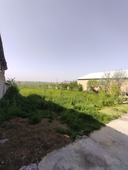 Kottakon hovli sotladi