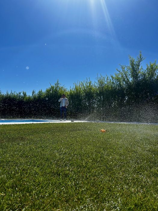 Amenajări spații verzi