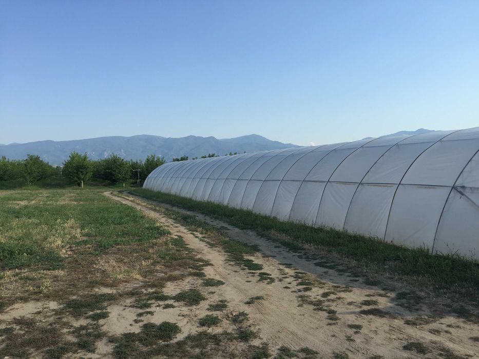 Продава се Земеделски имот в с. Ново село, Област Пловдив -  кв.м за 2010 €/дка - Снимка #4