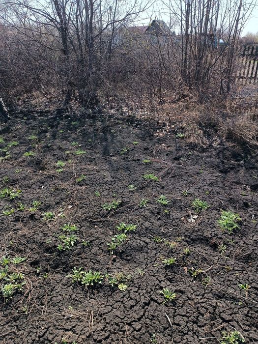 Продам дачу (дачный участок) без построек С/Т " Ракета"