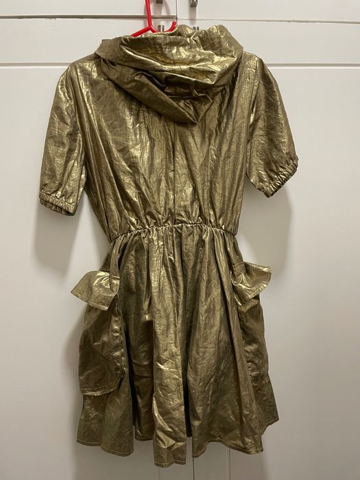 Лятно златисти Якенце