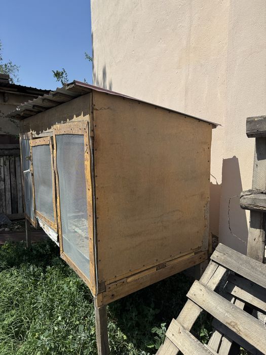 Балапандарға бутка сатылады