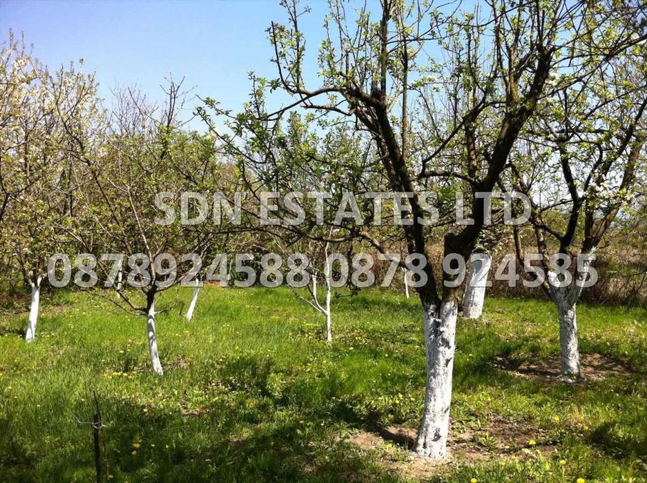 Продава се Къща в с. Долно Сахране, Област Стара Загора - 150 кв.м за 527 €/кв.м - Снимка #2