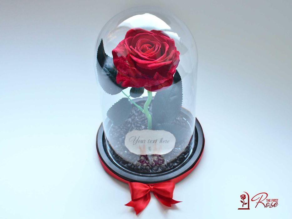 Вечна Роза в Стъкленица с БЕЗПЛАТНИ Лампички / Подарък за Рожден Ден