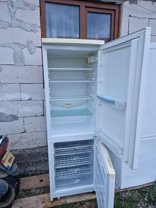 Frigidere arctic