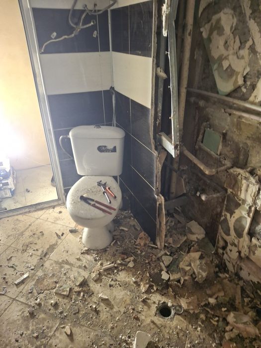 Хамслски услуги чистене къртим,