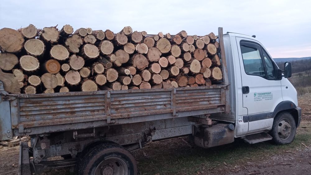 Lemn De Foc Esență Tare