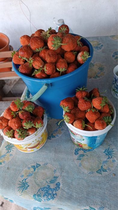 Дача СО энергетик